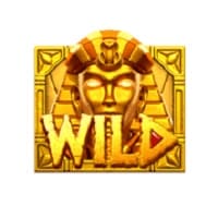 สัญลักษณ์ Wild