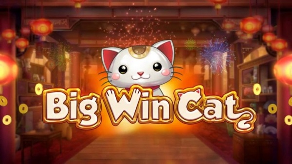 เกมสล็อต big win cat