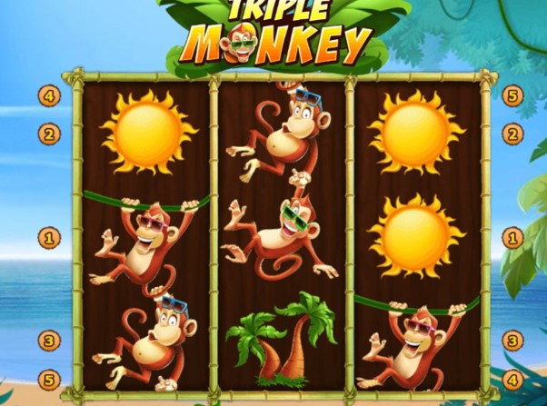 ระบบกงล้อ Triple Monkey