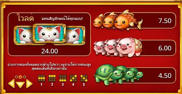 สัญลักษณ์ของ Big Win Cat